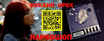сатива Можга