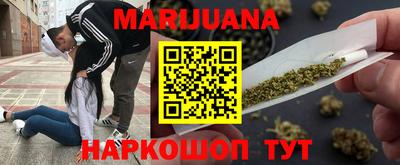 сатива Можга
