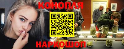 сатива Можга