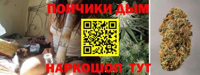 сатива Можга
