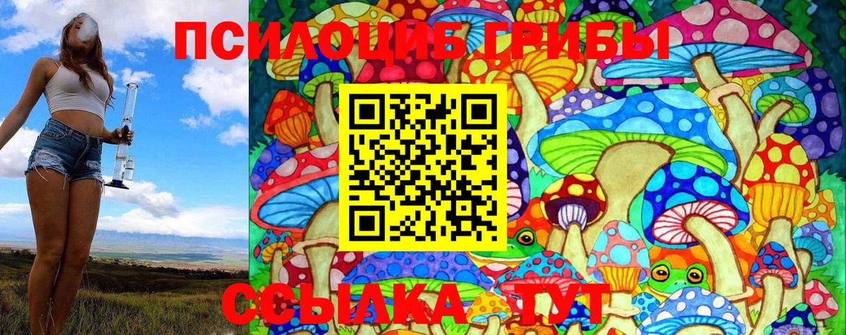 Галлюциногенные грибы Psilocybe Грязи