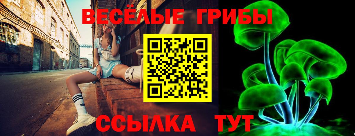 Псилоцибиновые грибы прущие грибы  Псилоцибиновые грибы Psilocybe  Вход с VPN  как найти закладки  Грязи 